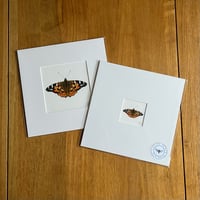 Painted Lady Butterfly Giclee Print