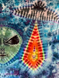 Image 2 of Aliens are Real! - 60 x 90" Tapestry - 1/1