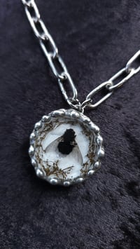 Image 7 of Dead fly necklace