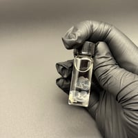 Image 1 of Speedwell (Veronica persica) Flowers Wet Specimen | 4ml Vial