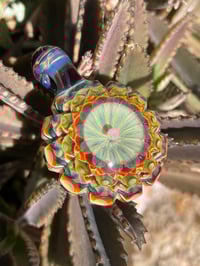 Image 8 of galactic dahlia 