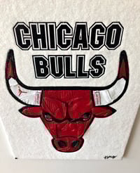Image 4 of Chicago Bulls “Like Mike”