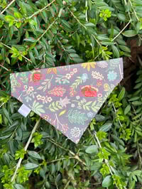 Dachshund Floral Bandana.