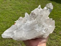 Image 1 of Clear Quartz Points Cluster Statement Piece #2186