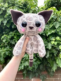 Image 4 of Fifi the Jumbo Kitty