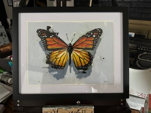Image of Butterfly (Monarch) 