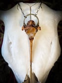 Citrine & Quartz - Deer Vertebra Necklace 