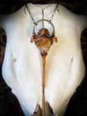 Citrine & Quartz - Deer Vertebra Necklace