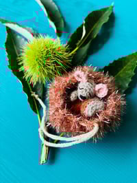 Image 1 of PETiTE CHÂTAiGNE