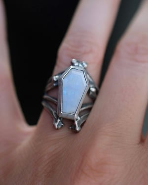 Image of COFFIN RING