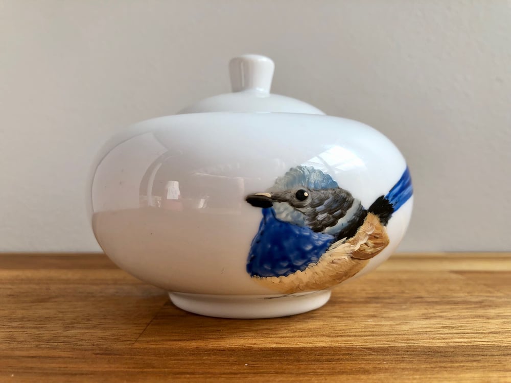 Superb Fairywren Sugar Pot