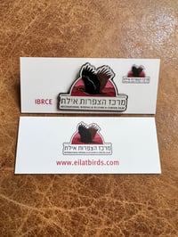 IBRCE Logo Pin Badge