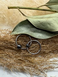 Image 3 of Seam rings and BCR’s from Apex.