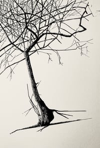 Dalby Study 3 (Framed Original)