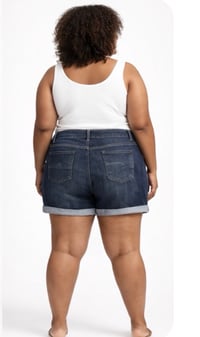 Image 3 of Sz 20 Time & Tru Denim shorts (Gently used) #97*14