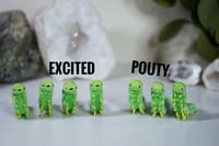 Image 4 of Caterpillars