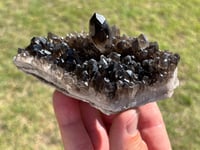 Image 3 of Smoky Quartz Crystal Points Cluster | Brazil #2971
