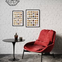 Image 3 of NEW YORK — COOKIE