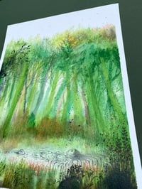 Image 3 of Wooddown Bog - Artwork 