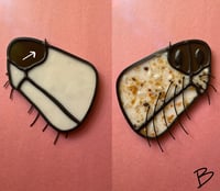 Image 5 of Stained glass good luck charm: speckled snoot