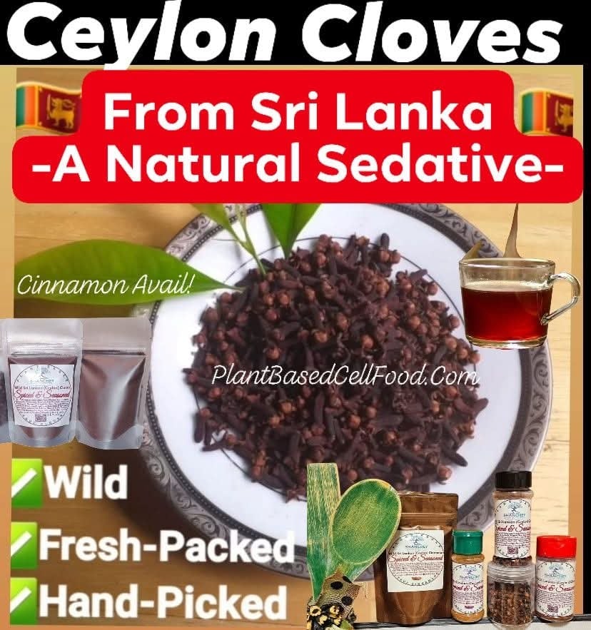 Spiced & Seasoned! Wild Sri Lankan (Ceylon) Clove Flower Buds/Powder- Pain-Parasites-Memory