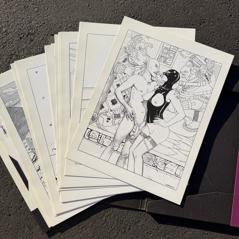 Histoire D'X Portfolio Signed & Numbered by Moebius Image 5