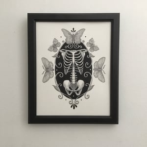 Skeleton With Moths And Butterflies Original Drawing