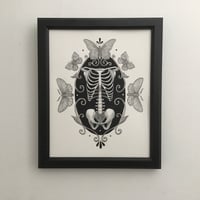 Image 2 of Skeleton With Moths And Butterflies Original Drawing