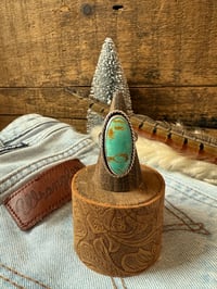 Image 2 of The Wild Mesa