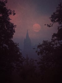 Sanctuary signed print