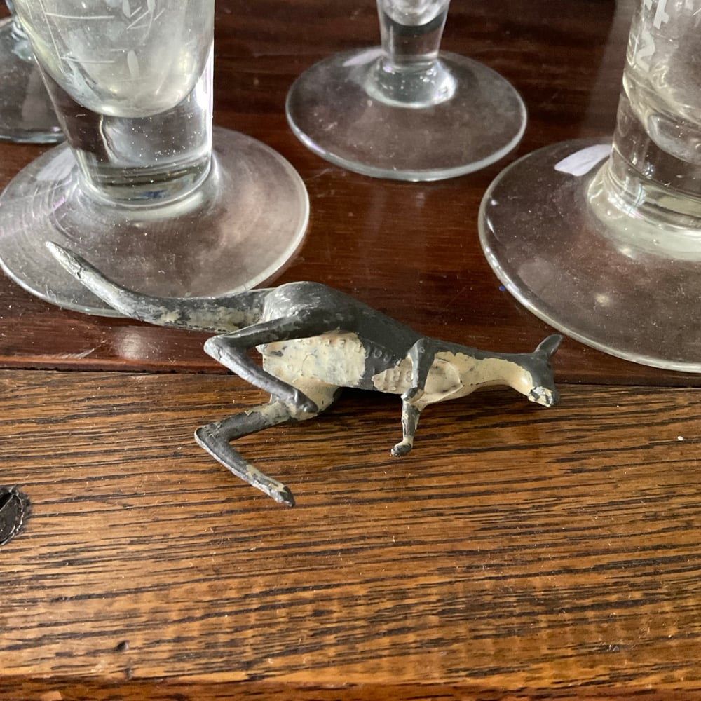 Image of Kangaroo 