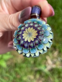 Image 8 of Mountain Daisies