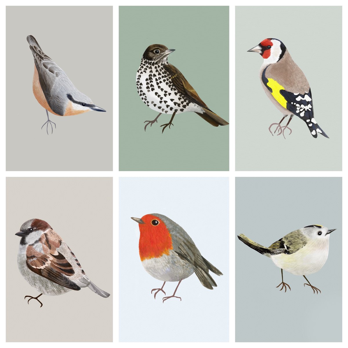 The Bird Lovers Card Set
