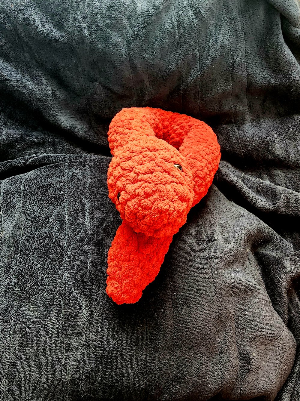 Image of Snake