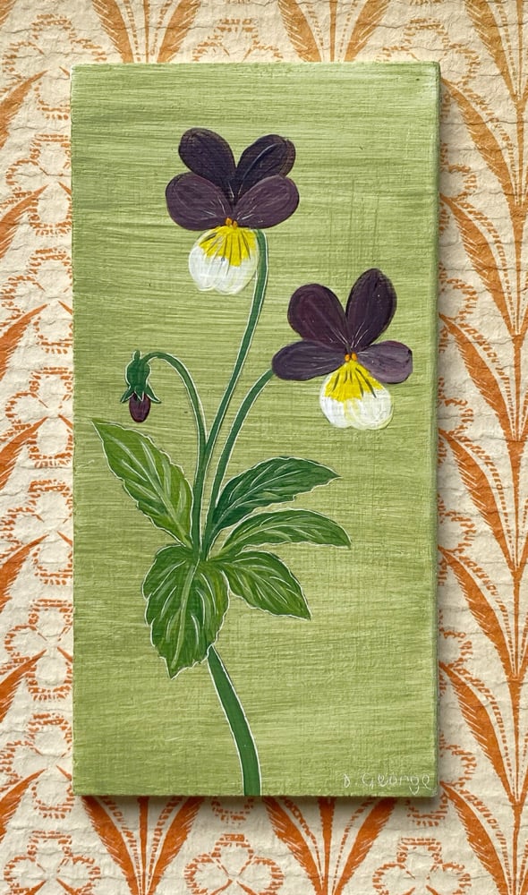 Image of Viola 
