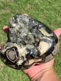 Image 3 of Septarian Nodule Polished Freeform With UV Calcite Inclusions| Madagascar #2893