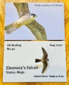 Eleonora's Falcon - No.92 - UK Birding Pins - Enamel Pin Badge
