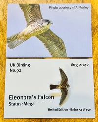 Image 1 of Eleonora's Falcon - No.92 - UK Birding Pins - Enamel Pin Badge