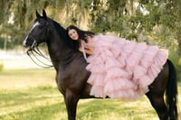 Image 2 of Fine Art Horse (5/15/26)