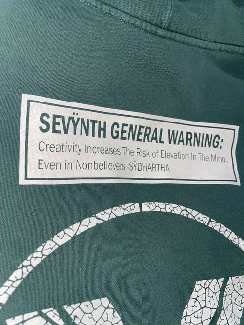 Image of MONARCH Hoodie 