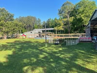 Image 4 of Pumpkin Hunt with our fav dogs, pony rides, hay rides, painting on pumpkins!