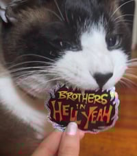 Image 2 of “Brothers in Hell Yeah” Glitter Stickers