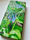Bluebells 