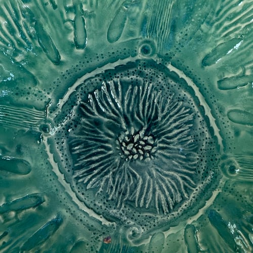 Image of Rockpool Plates (B)