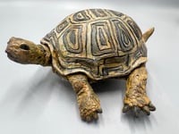 Image 2 of On a quest for harmony- Julie Kradel