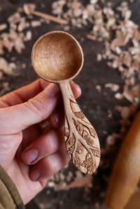 Image 2 of  Oak Tree Coffee Scoop 