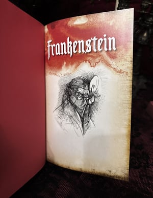 Image of Frankenstein Mary Shelley