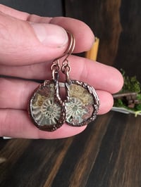 Image 2 of Ammonite Earrings #2