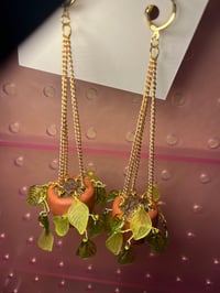 Image 3 of Potted Plants (Made To Order)