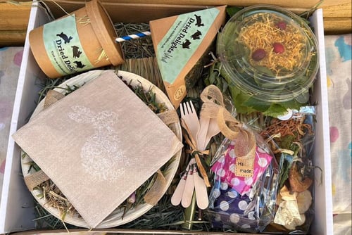 Image of May ‘picnic’ 2024 monthly subscription box 